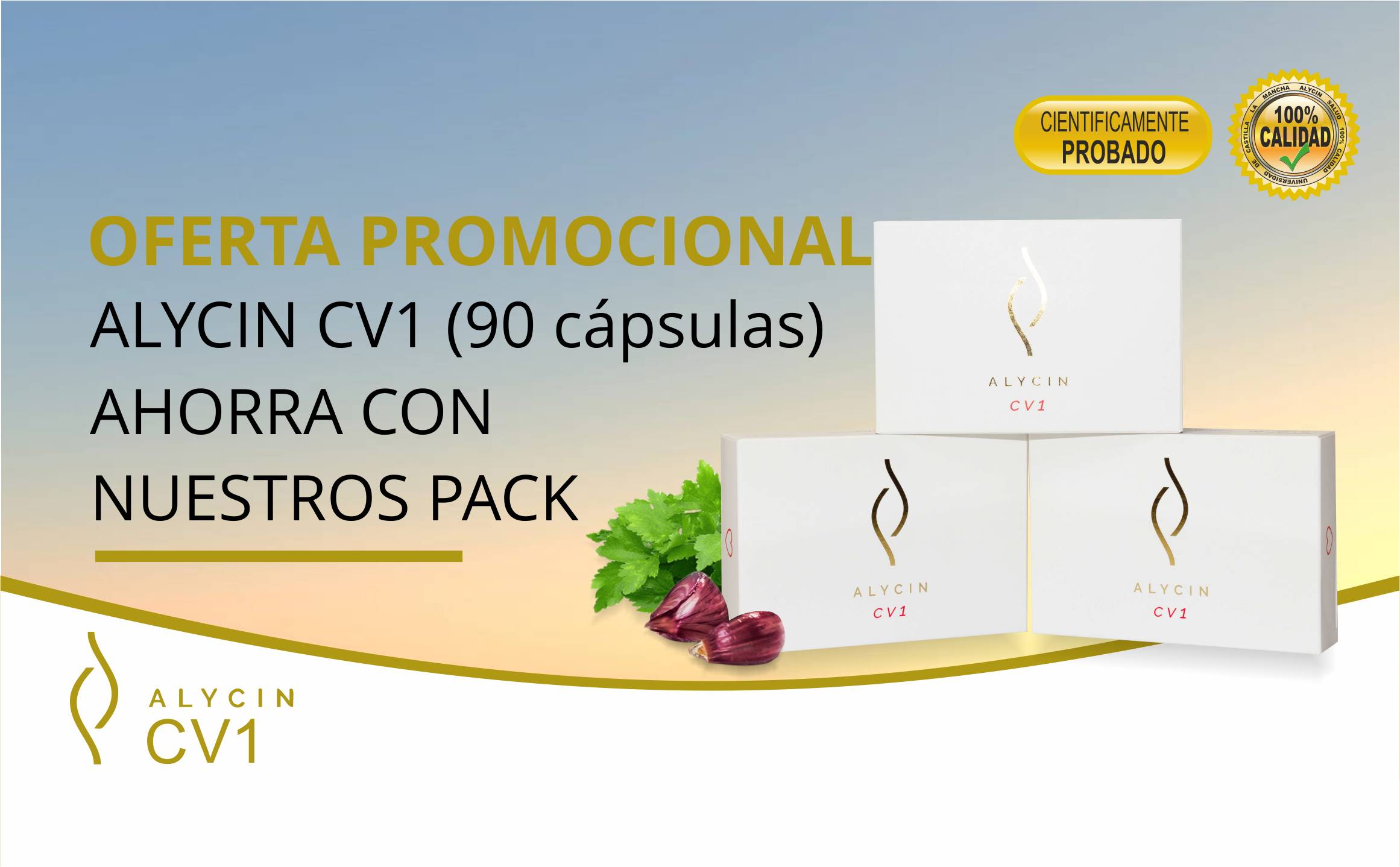 pack 90 cv1 banner